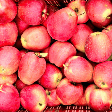 Meme Gala Apple